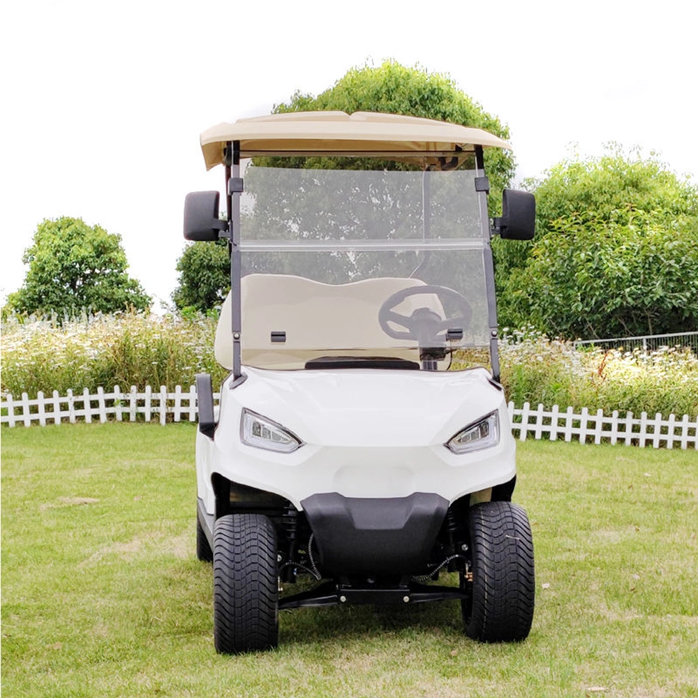 Factory Direct Sales 4000W Electrical Car Folding Electric Golf Carts 2 Seat White Electric Scooter