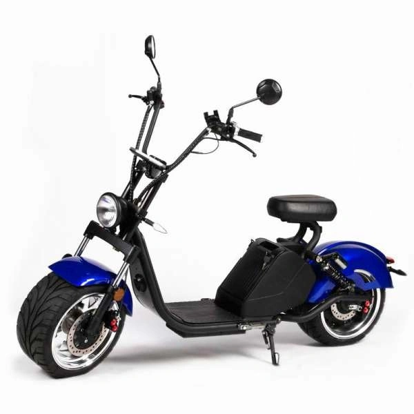 Private Model Primary Version Standing Hot Selling Electric Citycoco for Commuting Travel