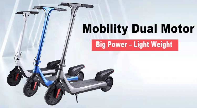 Wholesale Supplier 48V 21 Ah Electric Adult Scooter