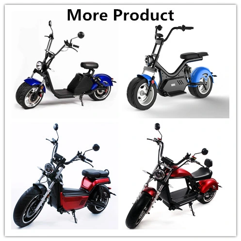 Private Model Primary Version Standing Hot Selling Electric Citycoco for Commuting Travel