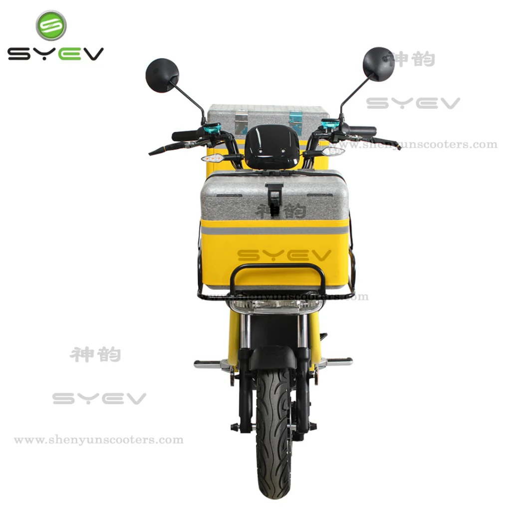 Shenyun Wholesale 120km Long Range Black/Green/Yellow/White 10inch/12inch Tyre Delivery Electric Cargo Scooter/Bike for Fast Food Pizza with Two Box